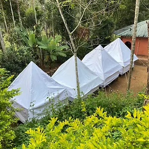 Plantation Tent And Swimming Pool 2* Wayanad
